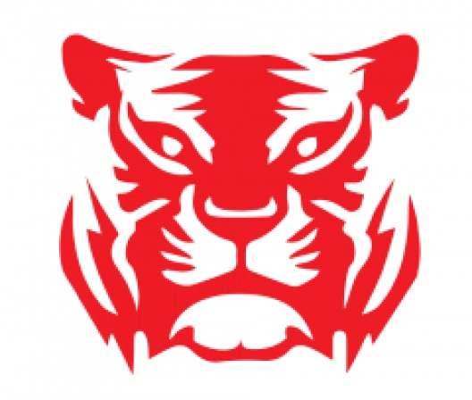 Bonus 25 PLN w Betsson. Wystarczy obrót na slotach Red Tiger Gaming