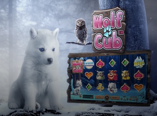Wejdź do gry właśnie dzisiaj z Betsson i odbierz darmowe spiny na slocie Wolf Cub