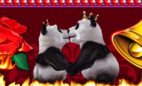 Walentynkowa loteria w royal pandzie